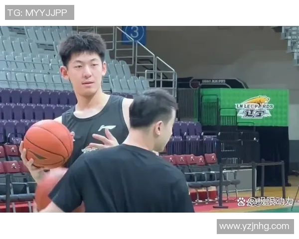 辽宁与新疆队精彩对决回放分析及赛后点评