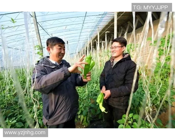 钟诚：在时代变革中探索创新与责任的青年力量